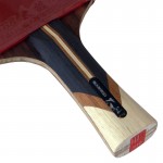 SANWEI Taiji 910 - ракетка для настільного тенісу